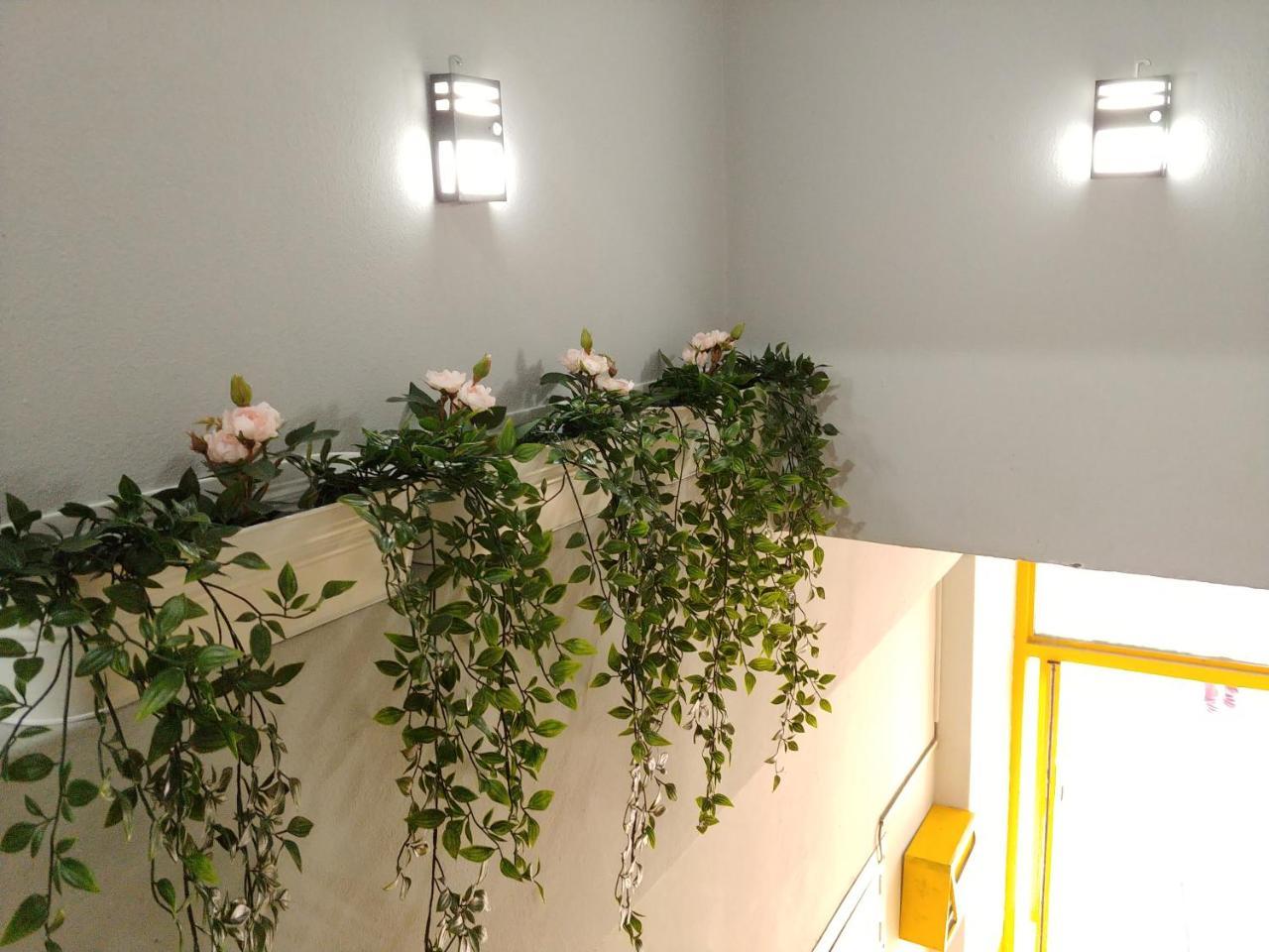 เฮาส์ อิแตวอน Hostel โซล ภายนอก รูปภาพ